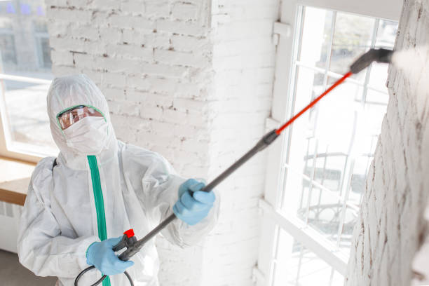 Mold Remediation for Rental Properties in Andalusia, AL