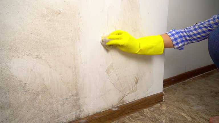 Reliable Andalusia, AL Mold Inspection, Removal & Remediation Solutions